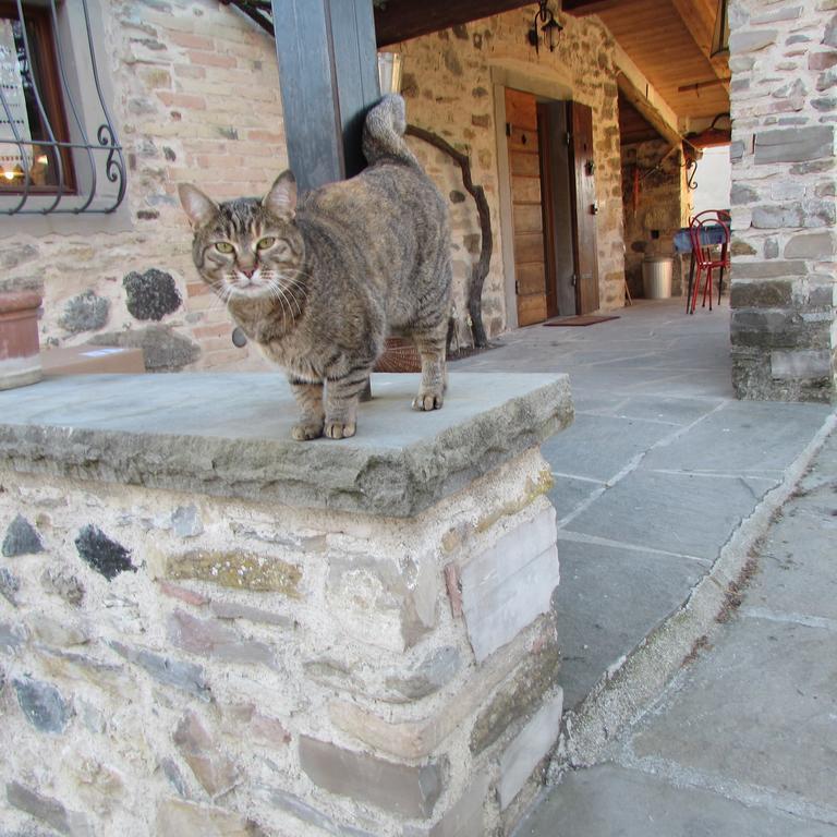 B&B Dagnano Basso Pieve Santo Stefano Buitenkant foto